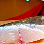 裏難波スシトフジ - 