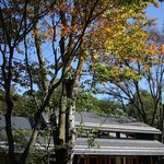 Il Sogno - ハルニレテラス