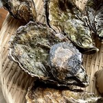 かきの館 寺岩 - カキ小町に牡蠣の赤ちゃん