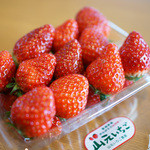 Berry Very Labo - 山元いちご