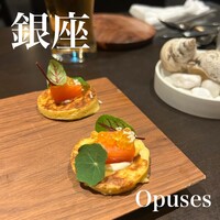 Opuses - 