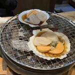 Shichirin Yaki Osakana Kuwaeta Doraneko - 