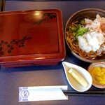 熟成かつ 天膳 - 料理写真:純けいかつ丼(塩だれ)おろしそばセット