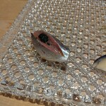 代官山 鮨 たけうち - 