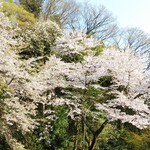 金沢犀川温泉 川端の湯宿 滝亭 - 