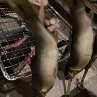 囲炉裏料理 うな革 和なり - 