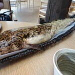 noma - カワメンタイ