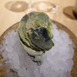 noma - スイートオイスター