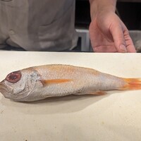御茶ノ水 TEN - 
