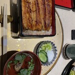 Unagi Mejiro Zorome - 