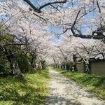 蕎麦切り あなざわ - ⑬ 護真寺の参道