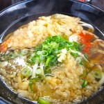 龍泉 - 節系、魚系の風味、旨味のある後味スッキリ系の関西風うどん出汁の大阪うどん麺が合います。