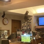 カフェ・ド・ノヴァ - 招き猫マックス