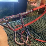 カフェ・ド・ノヴァ - マックスの散歩用のリード。I♡DOGと書いてある！