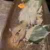 居酒屋 勇旬 いか太郎 本店