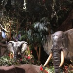 レインフォレストカフェ・トーキョー - 