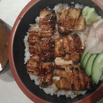 Kikuzushi - 名物穴子丼