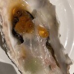 Emit Fish Bar Oyster And Grill - 