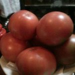 Masuya - カウンターに置いてあるおいしそうなトマト