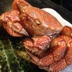 新和食 きくい - 