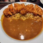 CoCo壱番屋 - 料理写真:ササミカレー1089円。