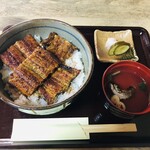 Una toyo - 二段詰め丼