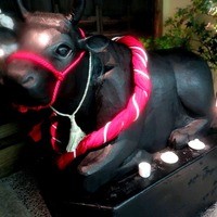 但馬屋 心斎橋 - 