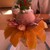 フルーツおばさんのCafe 花水木 - 料理写真: