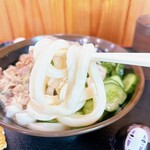 手打ちセルフうどん 海侍 - もっちり太めの麺
            手打ち感ある暴れん坊♡