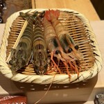 鮨 銀座 おのでら - 