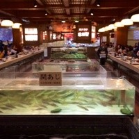 稚加榮 本店 - 店内にはたくさん水槽がある！