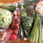 グリーンセンター 音羽 - 料理写真:野菜色々