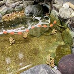 札幌かに本家 - 