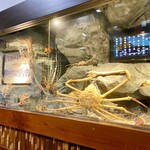 札幌かに本家 - 