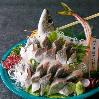 Kyushu Netsuchuya brand's absolute signature menu! Live Bungo mackerel sashimi