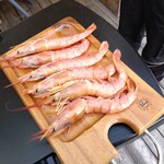 ジャングルナンバ - 