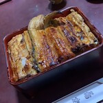 Unagi Irokawa - 