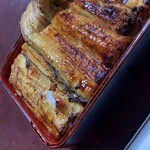 Unagi Irokawa - 