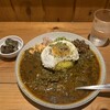 Dish curry&relish - ポークカレー　ドライキーマ添え