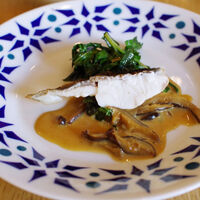 anchoa - 
