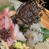 眞か SHINKA - 