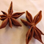 インディアンレストラン西麻布 by KENBOKKE - スターアニス