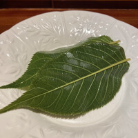 蓮 三四七 - 
