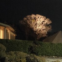 翠州亭 - 