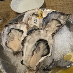 Oyster Bar ジャックポット - 