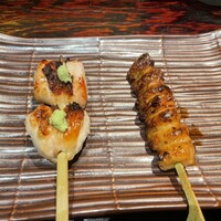 鳥ばか一代 - 