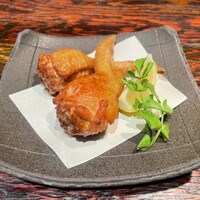 鳥ばか一代 - 