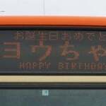 一乗寺つるかめ - 