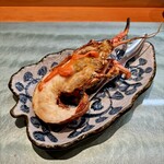 弥助鮨 - 伊勢海老