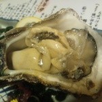 居酒屋　招福 - ２０１３年７月の岩がき８００円